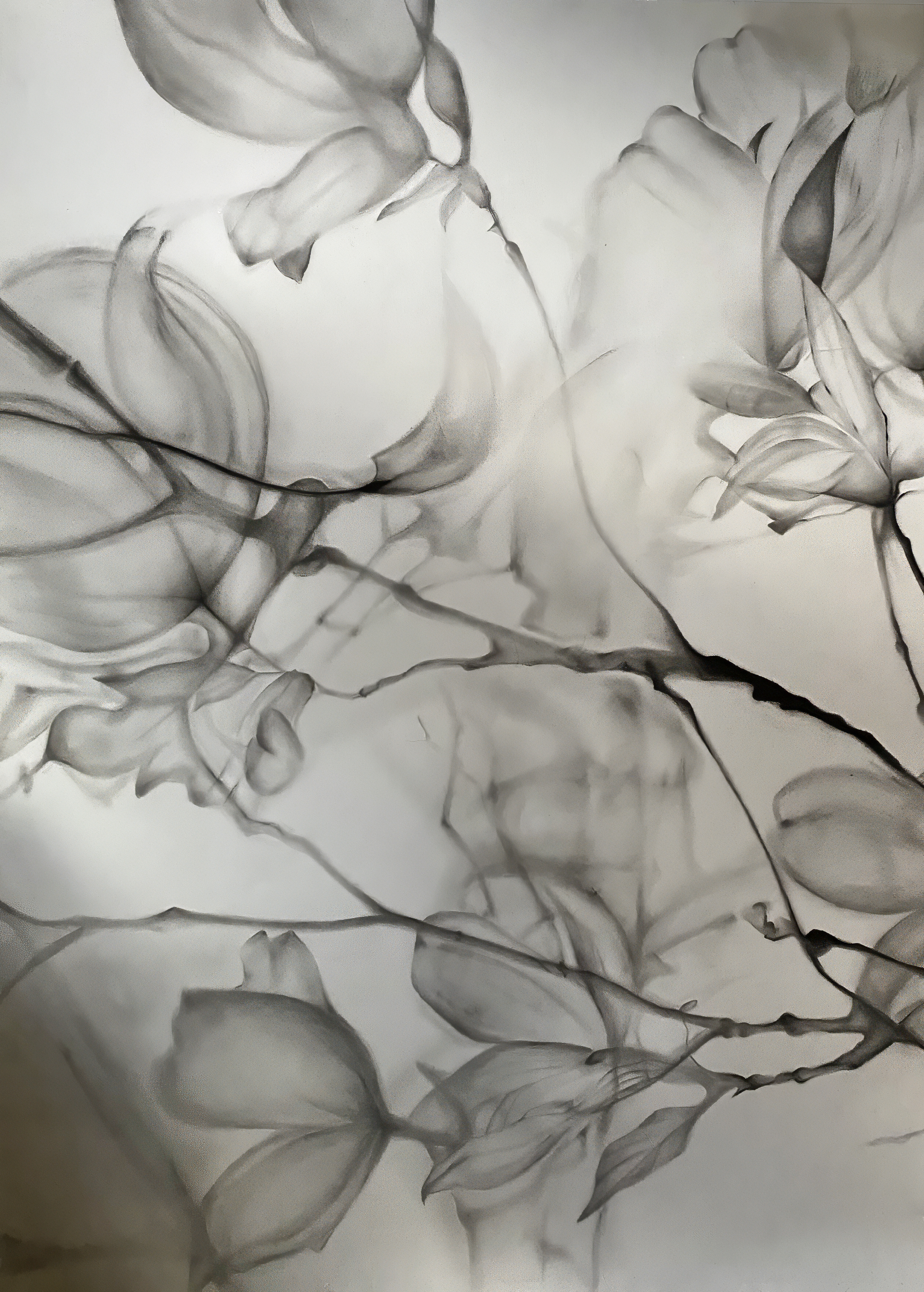 Delicate black and white abstract of flowers and branches, blending softly into the background.
