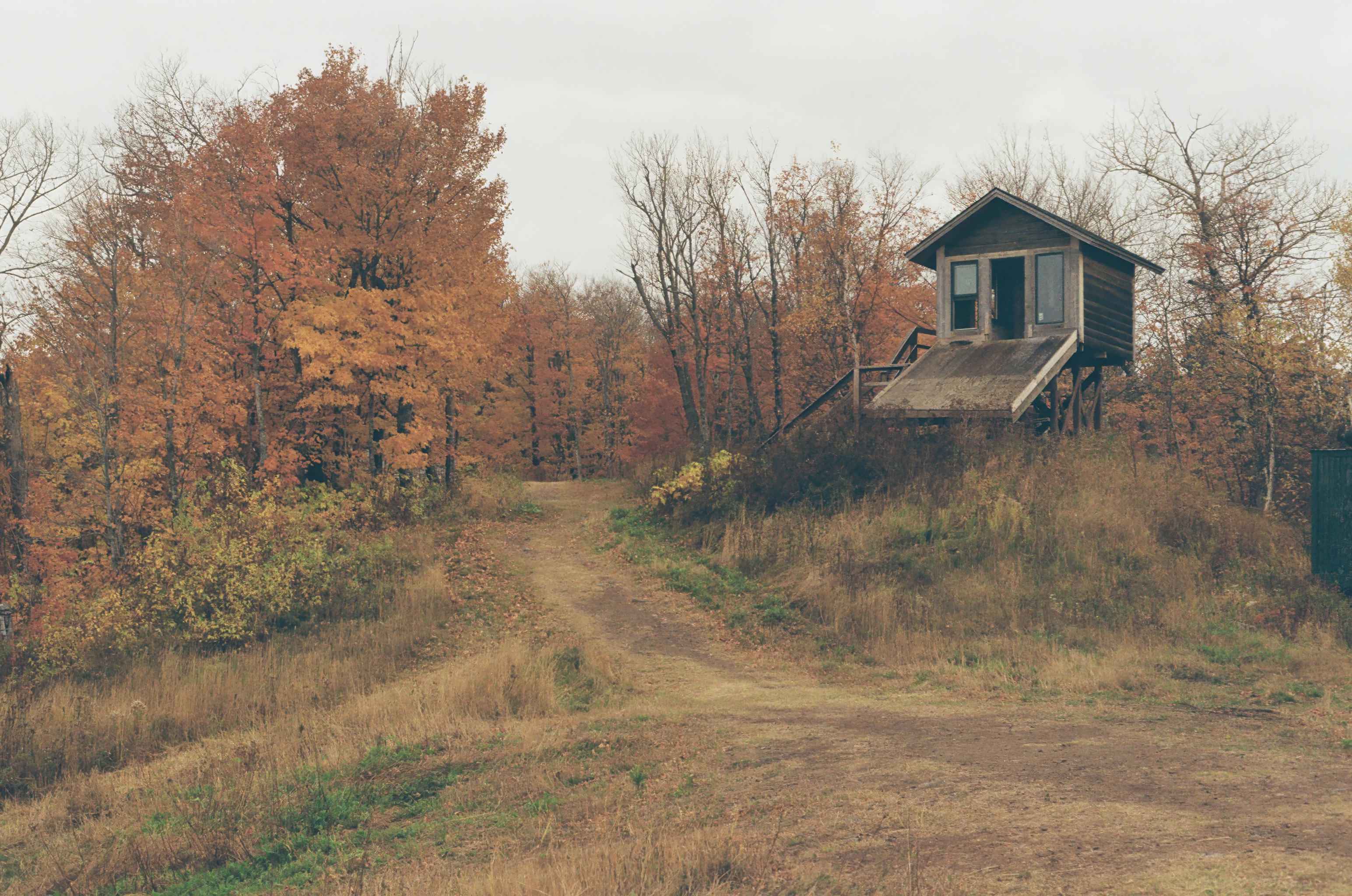 A rustic wooden cabin on a hill is surrounded by autumn trees, some barren and others with orange and yellow leaves. A dirt path leads into the forest.